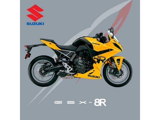 SUZUKI GSX-8R 